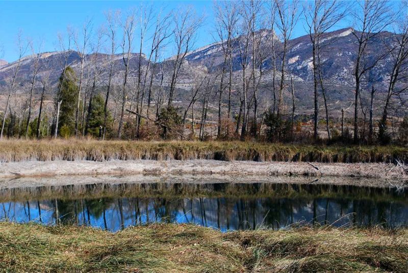estany de basturs 1.jpg